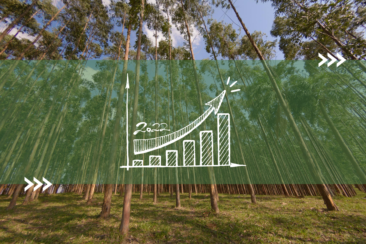 2022 se encerra com a certeza de que além das diversas parcerias de sucesso, também conquistamos muitos resultados positivos por meio dos nossos modelos de negócio e do programa de parceria florestal Plante com a Klabin.