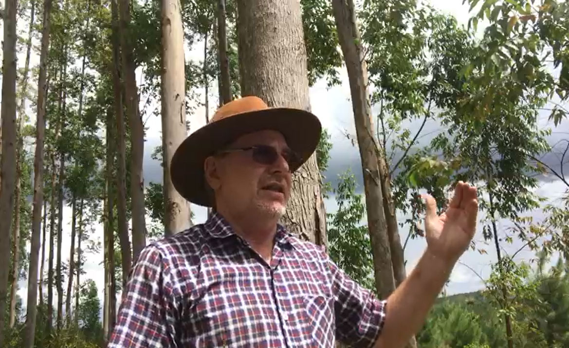 Sergio Bregano, produtor rural parceiro da Klabin